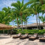 CASA DE ALTAS PALMERAS