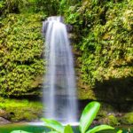 TOURS Parque Nacional Cordillera Azul - Caminata